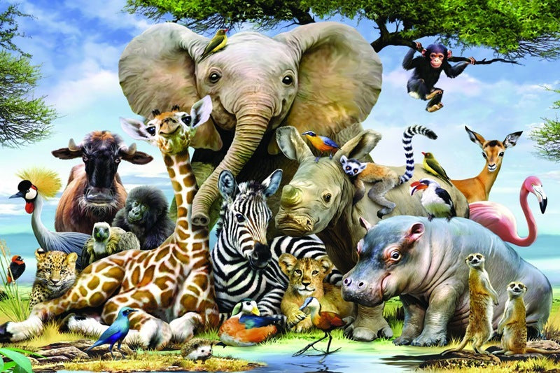 Scenic Wonders 1000-Piece Puzzle