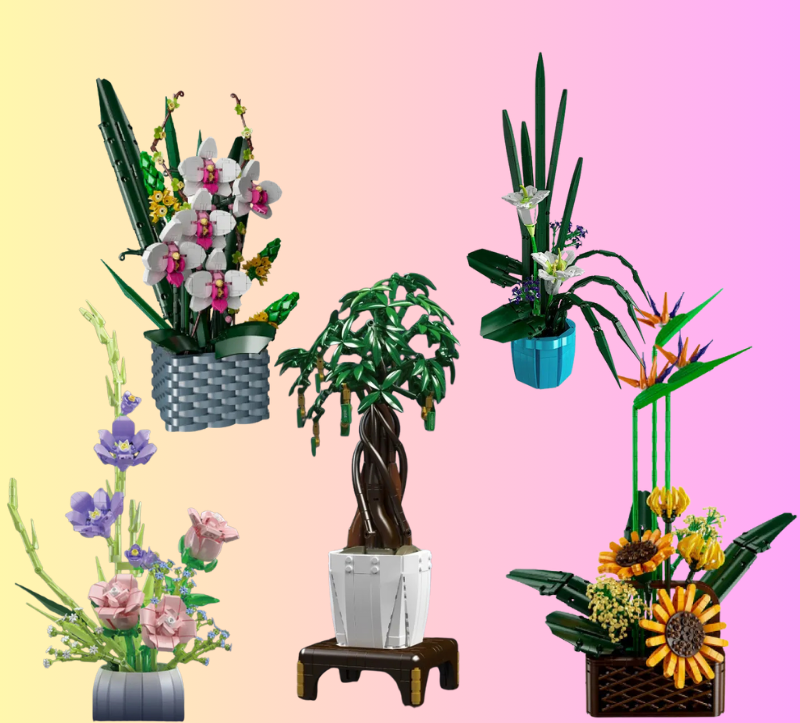 Garden of Seven